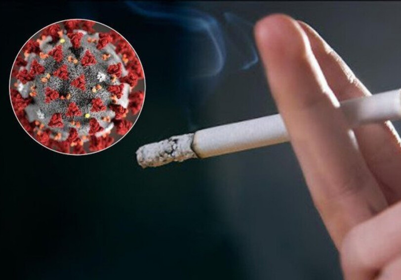 «Курильщики не заражаются COVID-19?» – Азербайджанский терапевт ставит точку 