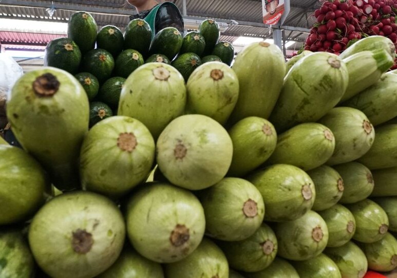 Полезный, но невостребованный: овощ из Товуза ждет своего звездного часа