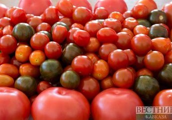 Азербайджанские яблоки и томаты продолжат поступать в Россию вагонами