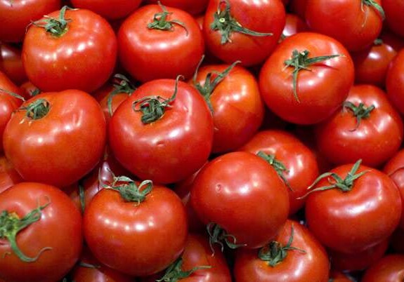 В Японии начали продавать томаты, лечащие гипертонию