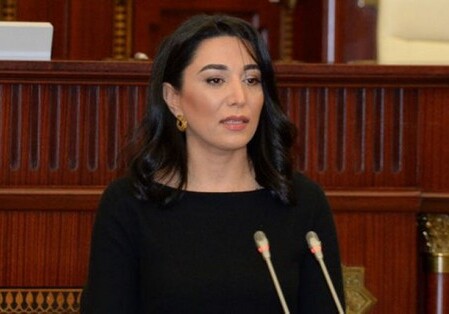 Омбудсмен Азербайджана распространила заявление в связи с годовщиной ракетного обстрела Гянджи
