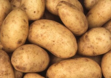 Картофель, завезенный из России в Азербайджан, оказался негодным