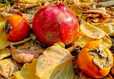 Сладкие витамины: пять самых полезных фруктов осени