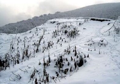 В северном регионе Азербайджана выпал первый снег