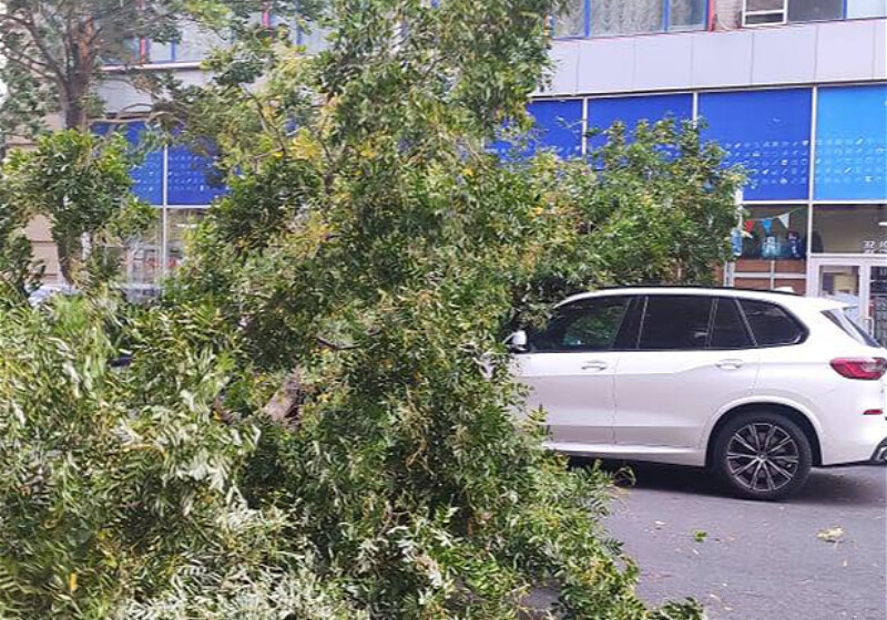 В Баку 7 человек получили различные травмы из-за погодных условий