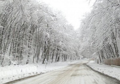 Высота снежного покрова в Гусаре достигла 9 см – Фактическая погода