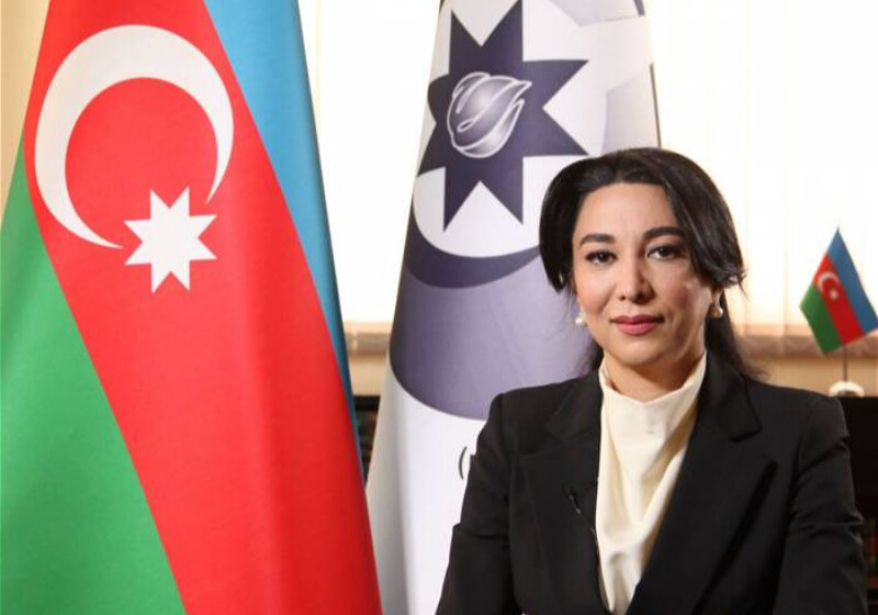Омбудсмен Азербайджана: «Умышленное нарушение Арменией норм международного права ведет к созданию новых очагов конфликта»