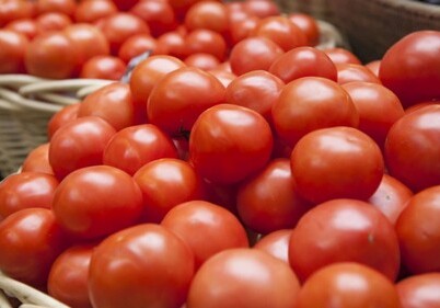 Испанские ученые придумали пластик из томатной кожуры