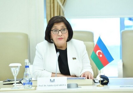 Сахиба Гафарова проинформировала представителя Красного креста о непредоставлении Арменией карт минных полей