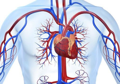 Специалист Минздрава: COVID-19 способен усугубить существующее сердечно-сосудистое заболевание