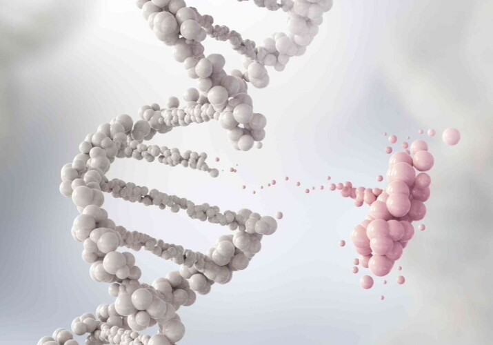 Ученым удалось отключить ген, отвечающий за распространение рака