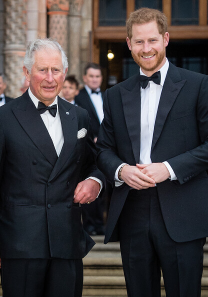 Принц Чарльз публично помирился с сыном — принцем Гарри