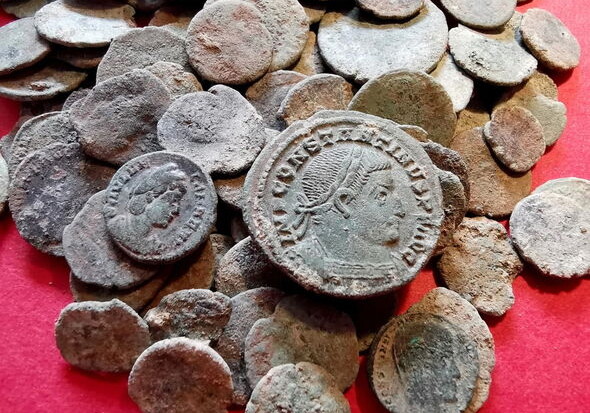 Барсук откопал крупный клад с древними монетами
