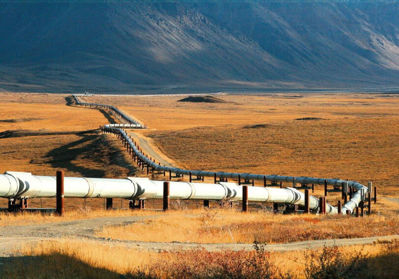 Турция назвала сумму расходов на газопровод Игдыр-Нахчыван