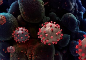 Ученые из Уханя заявили о новом коронавирусе