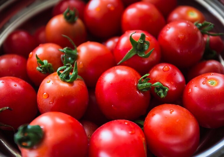 Названы причины подорожания помидоров в Азербайджане