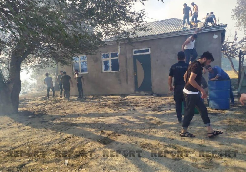 В Шабрани вспыхнул лесной пожар – Огонь перекинулся на жилые дома (Фото)