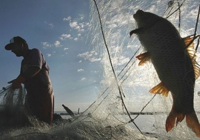 Любительская ловля рыбы в Каспийском море и спортивная рыбалка запрещена до 30 июня
