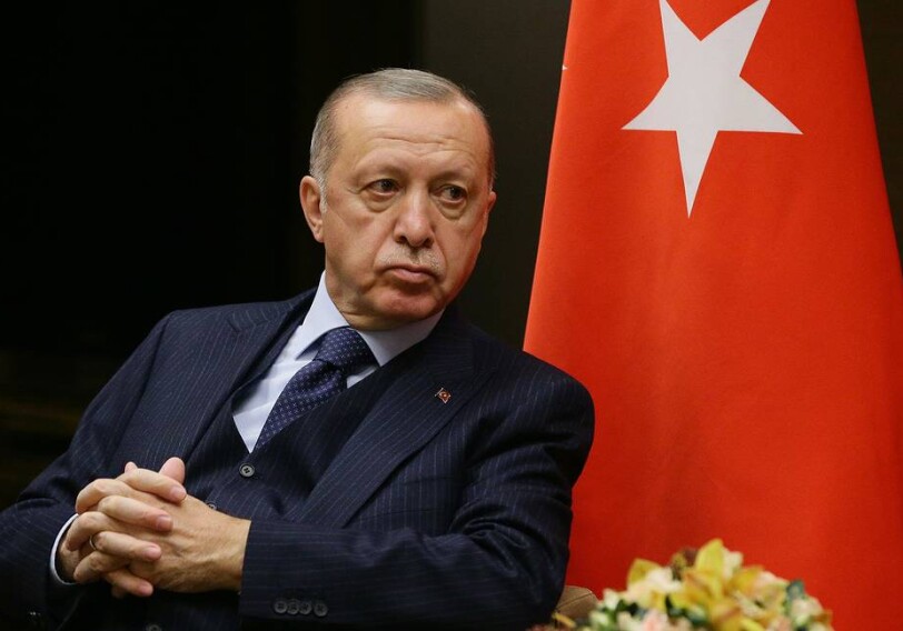 Эрдоган проведет завтра телефонные переговоры с Путиным и Зеленским 30 мая
