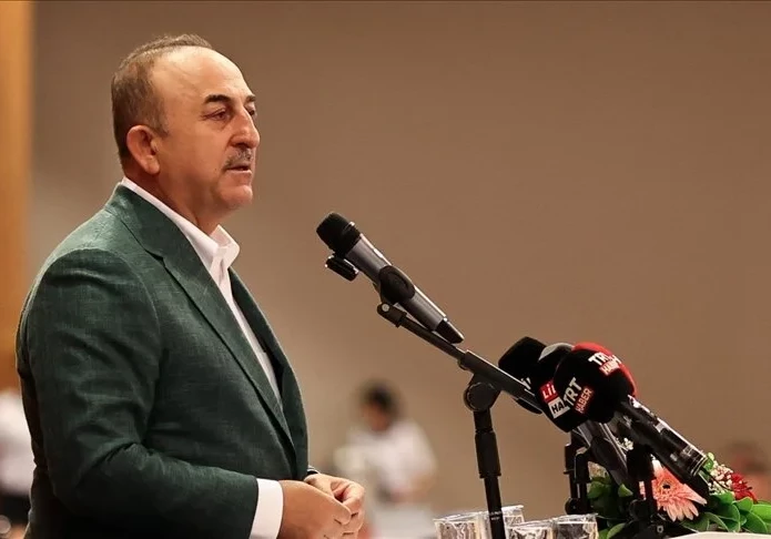 Чавушоглу осудил высказывания оппозиционного политика в адрес Азербайджана