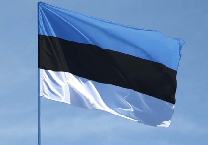 Эстония отзывает посла из России