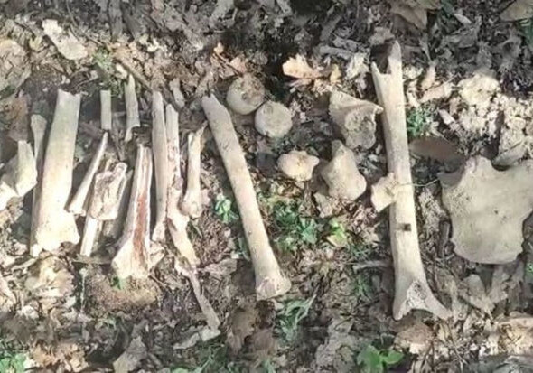 Стало известно о дальнейшей судьбе найденных в селе Фаррух останков азербайджанцев (Видео)