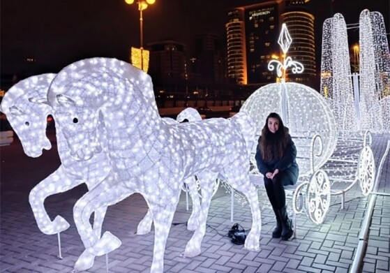 Лейла Алиева поделилась публикацией о подготовке к Новому году в столице (Фото)