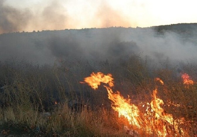 В Масаллы в горной местности вспыхнул пожар