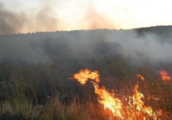 В Баку произошел пожар на открытой местности