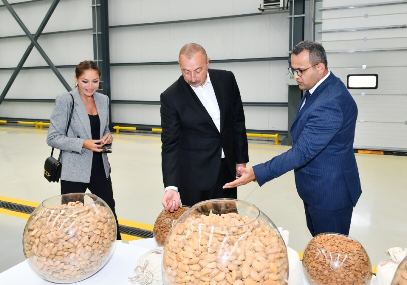 Президент Ильхам Алиев ознакомился с предприятием ООО Grand-Agro Invitro (Фото-Видео-Обновлено)