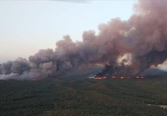Крупный лесной пожар вспыхнул в Турции, для тушения применяется авиация
