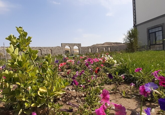 Превратившееся в цветник село Агалы Зангиланского района (Фото)