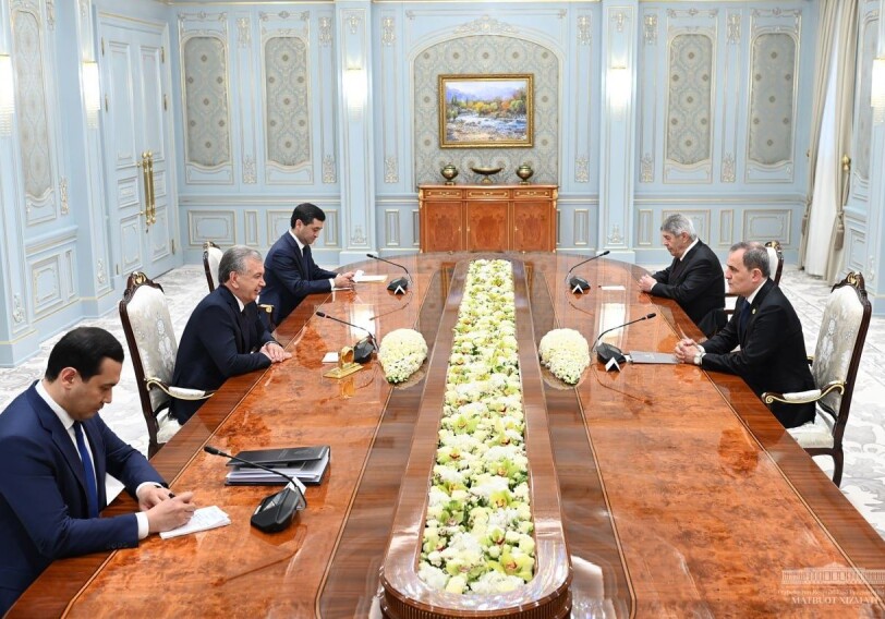 Состоялась встреча главы МИД Азербайджана с президентом Узбекистана  (Фото)