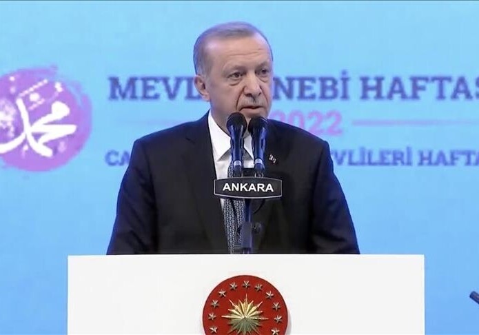 Эрдоган – Греции: «Турция готова к любым шагам по защите своих интересов»