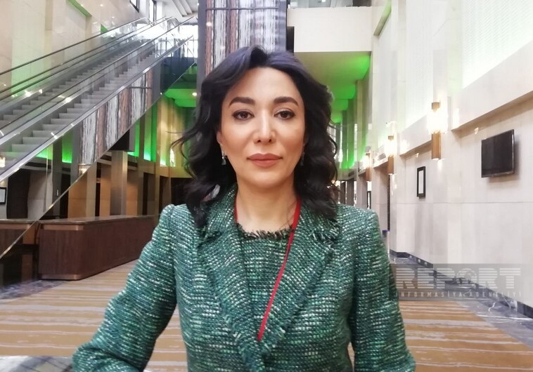 Омбудсмен: «Незаконная эксплуатация месторождений Азербайджана – угроза для всего региона»