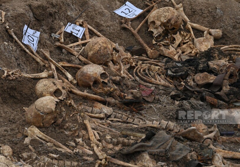 Минздрав: Все 12 обнаруженных в Эдилли останков принадлежат молодым мужчинам
