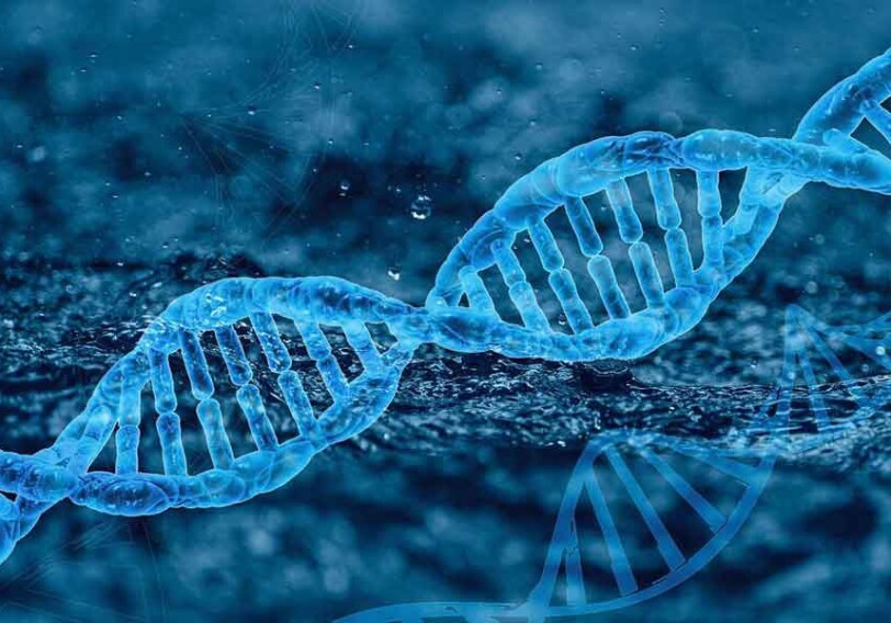 Найден участок ДНК, ответственный за преждевременное старение