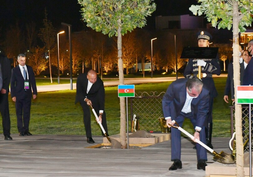 Главы государств, принимающие участие в Саммите ШОС, посадили деревья (Фото)