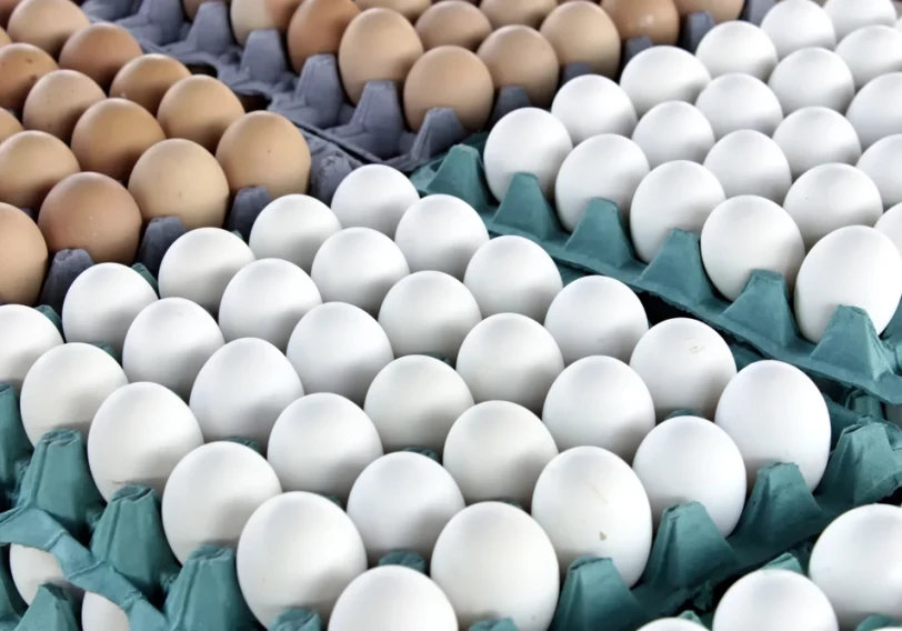 Азербайджан будет экспортировать яйца в Россию