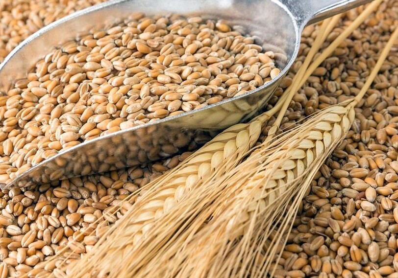 Турция заявила, что достигла прогресса с Россией по вывозу украинского зерна