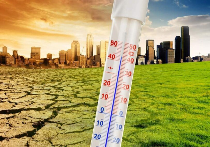 Давайте вместе спасем планету!