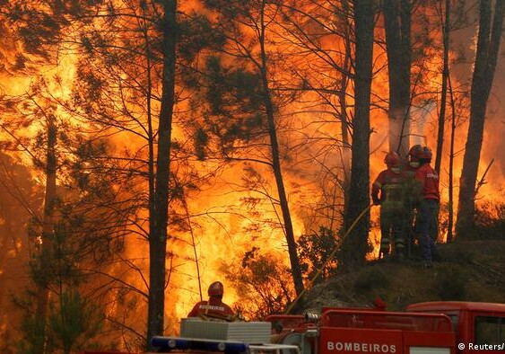 Лесные пожары пылают в Германии и Чехии