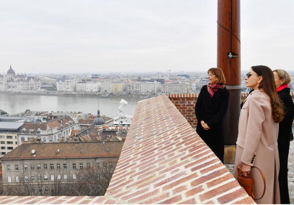 Мехрибан Алиева поделилась кадрами визита в Венгрию (Фото)