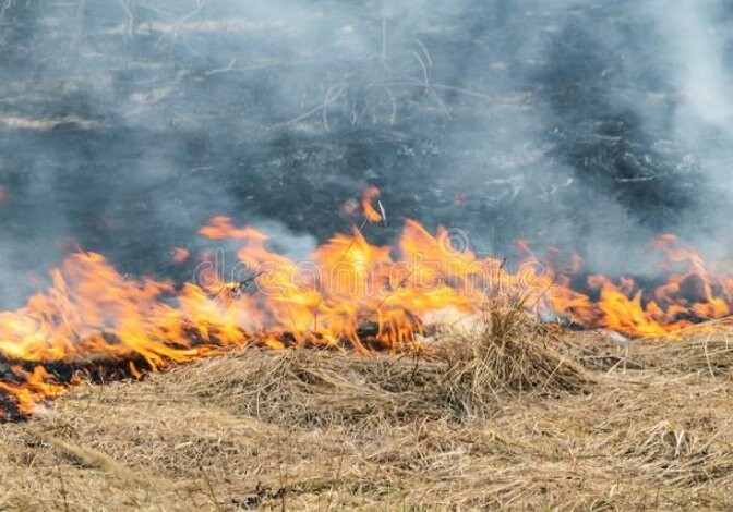 МЧС: В поселке Суговушан вспыхнул пожар