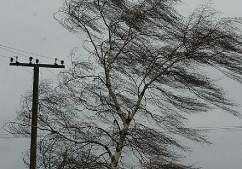 В Баку порывы ветра достигли 18 м/c – Высота волн на Каспии составила 3 ​​метра