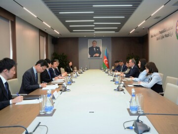 Баку и Токио обсудили сотрудничество в рамках международных организаций (Фото)