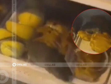 В Баку закрыта кондитерская, по витрине которой бегала крыса (Видео)