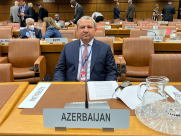 Ректор БГУ принял участие в сессии подкомитета ООН в Вене