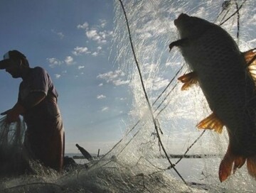 Любительская ловля рыбы в Каспийском море и спортивная рыбалка запрещена до 30 июня