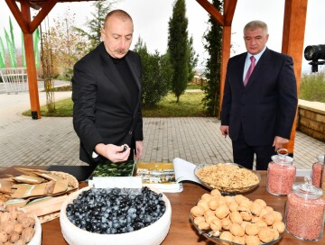 Президент Ильхам Алиев ознакомился с условиями, созданными в агропарке «Шеки-Огуз»